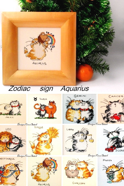 Milestone Birthday Sign Aquarius, Kids Cat Décor, Zodiac Art Aquarius,  Zodiac Gifts Aquarius.jpg