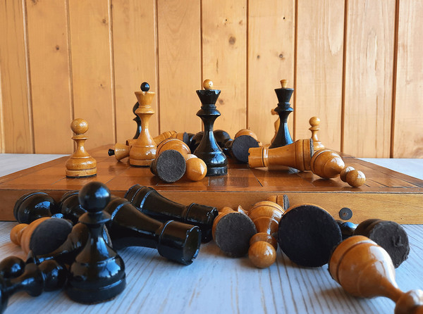 knight_muzzle_chess6.jpg