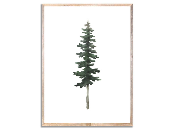 pine 3 заглавная.jpg