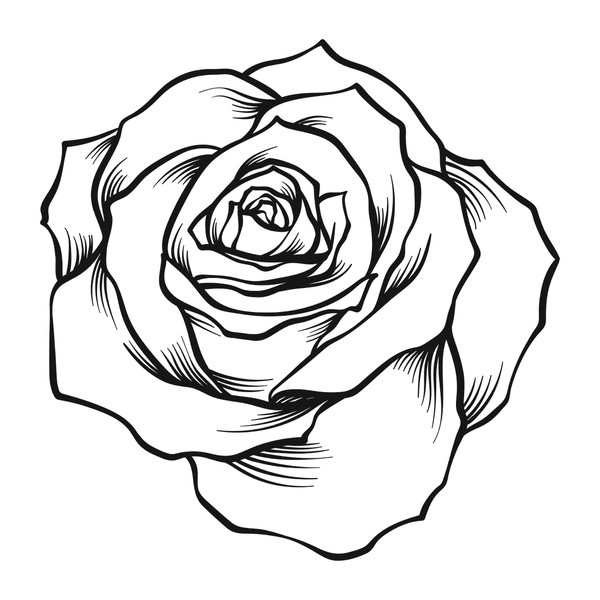 Vintage Rose svg, Roses Bundle SVG, Black rose svg, Rose sil - Inspire ...