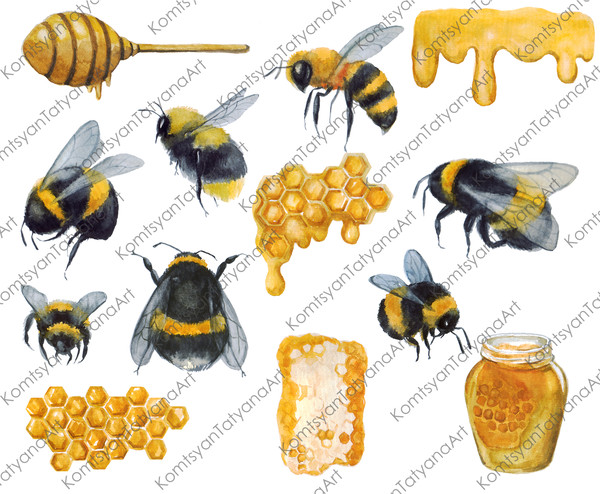2 Cute Bumblebees Bumblebee Bumble Bee Bees Clipart, PNG 300 Dpi