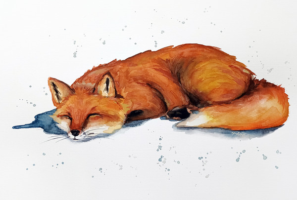 sleeping fox original painting