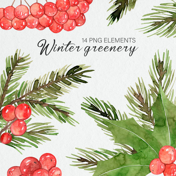 Watercolor Christmas Greenery Clipart / Winter Greenery / Ho