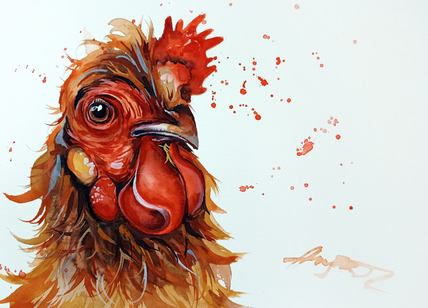 watercolor hen chicken painting