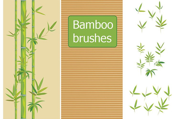 bamboo-brushes.jpg