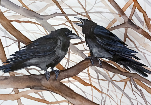 original watercolor raven crow painting