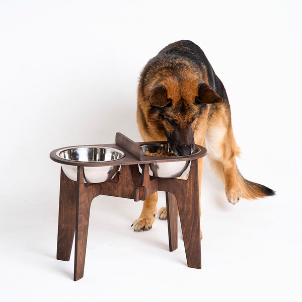 https://www.inspireuplift.com/resizer/?image=https://cdn.inspireuplift.com/uploads/images/seller_products/1669137676_raised-dog-feeder-bowls-for-large-dogs.jpg&width=600&height=600&quality=90&format=auto&fit=pad