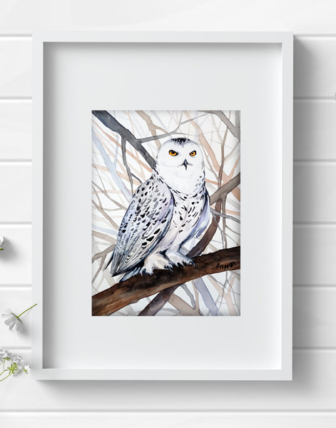 watercolor owl painting
