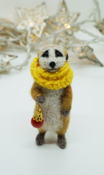 miniature-meerkat