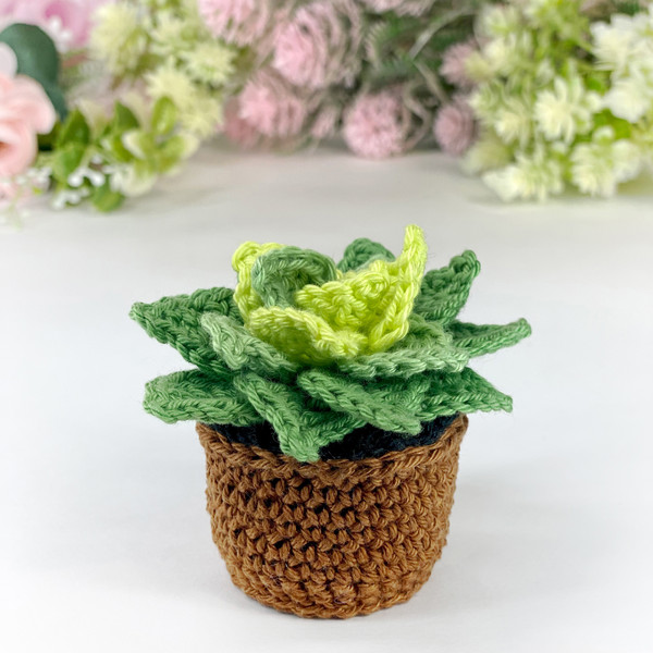 crochet-miniature-plants