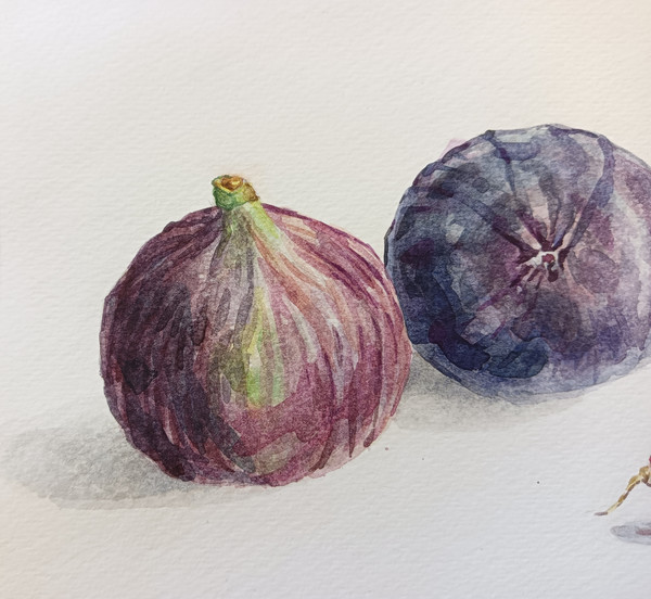 "Figs with grape", watercolor original wall art painting fruit still life picture