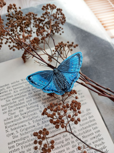 blue butterfly sits on a book