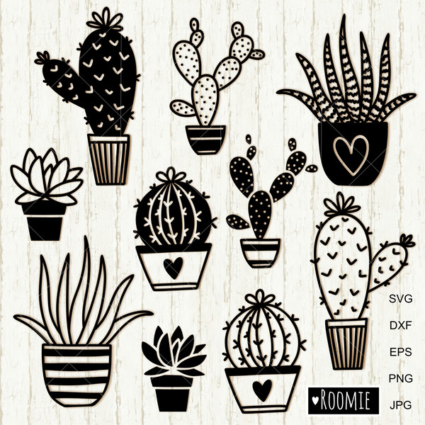 10 Cactuses and Succulents clipart.jpg