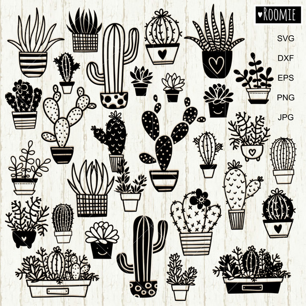 30 Cactuses and Succulents bundle clipart.jpg