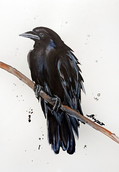 original watercolor bird raven crow painting