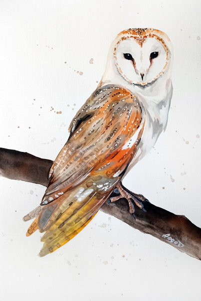 original watercolor owl painting by Anne Gorywine