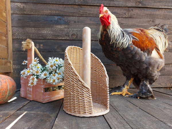 Rustic dish towels ''Chicken