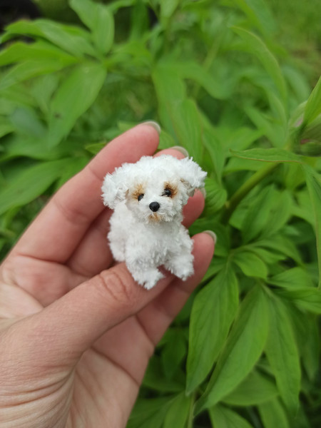 Miniature Realistic Maltese Dog Minitoy Ooak Puppy Pet Friend for Doll  Custom Dog Figurine Dollhouse Miniatures Handmade Ukrainian Artist 