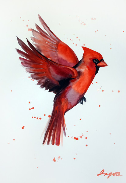 red cardinal watercolor painting by Anne Gorywine