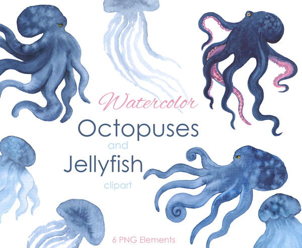 Watercolor octopus .jpg