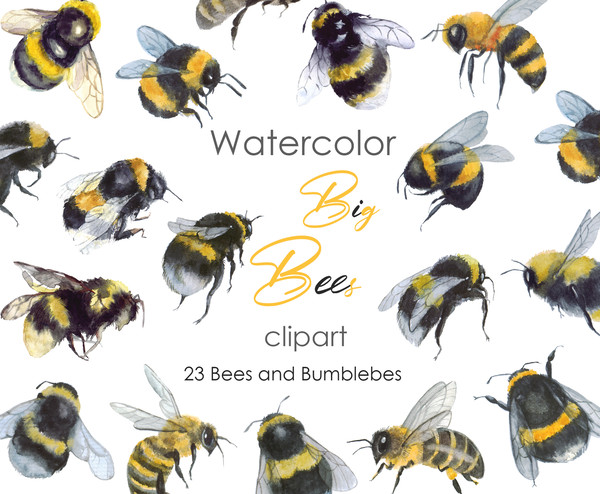 Watercolor bee .jpg