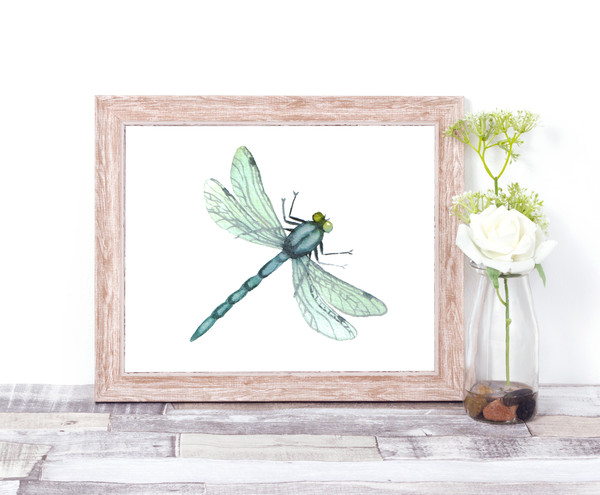Dragonfly print.jpg