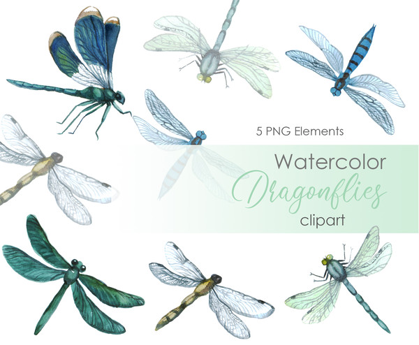 Watercolor dragonfly .jpg