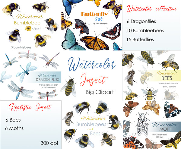 Watercolor Insect set .jpg