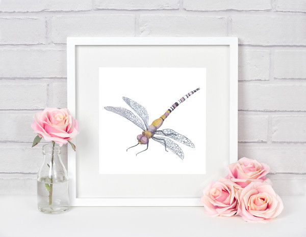 dragonfly print.jpg