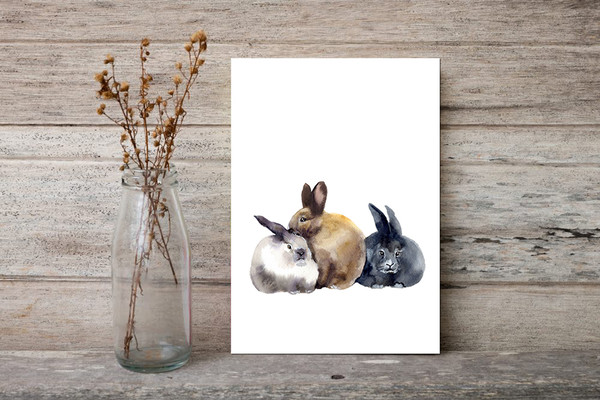 bunny illustration.jpg