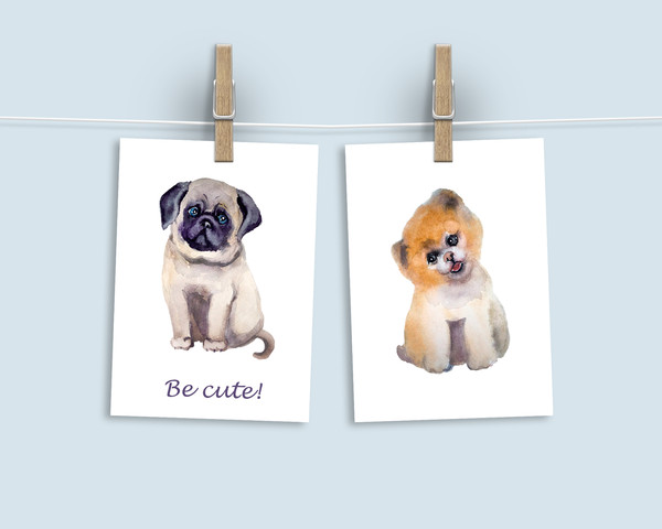 dog postcards.jpg