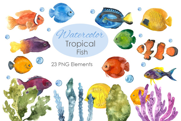Watercolor Clipart. Colorful fish. Fish clipart. Hand drawn - Inspire Uplift