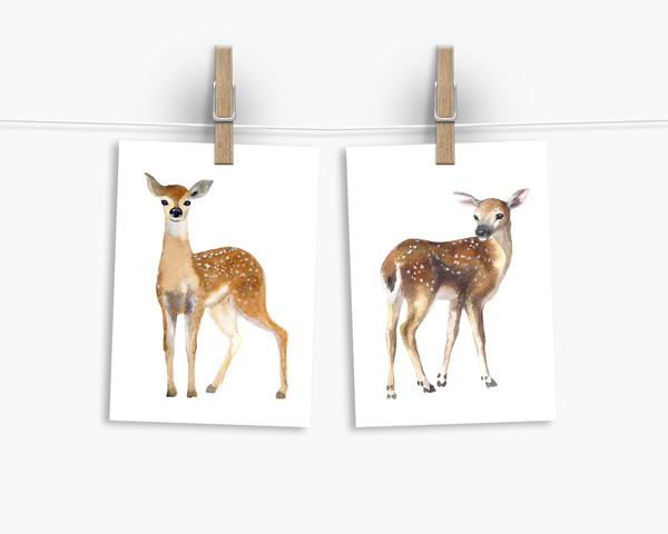 deer postcard.jpg