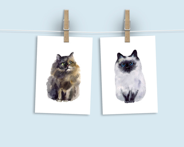 cats postcard.jpg