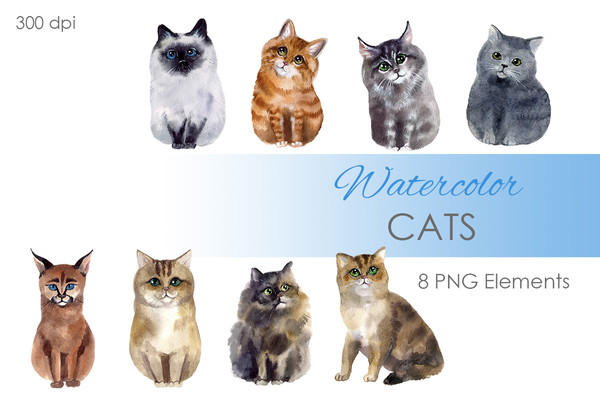 watercolor cats.jpg