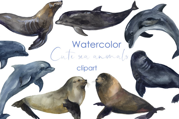 watercolor seal illustration.jpg