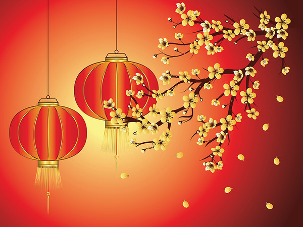 Chinese Lantern with Sakura Branch4.jpg