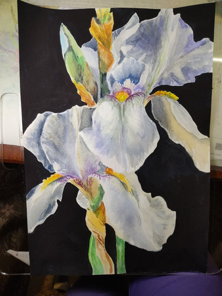 white flowers painting original watercolor artwork irises painting1.jpg