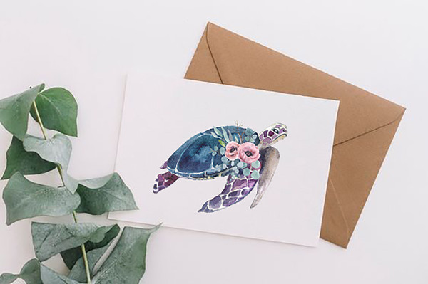 turtle postcard.jpg