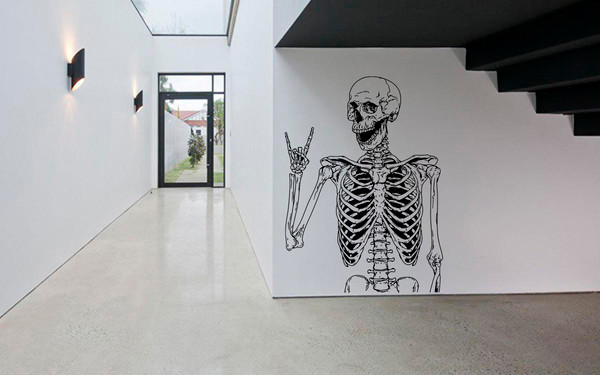 Skeleton Sticker human Scull Bone Anatomy
