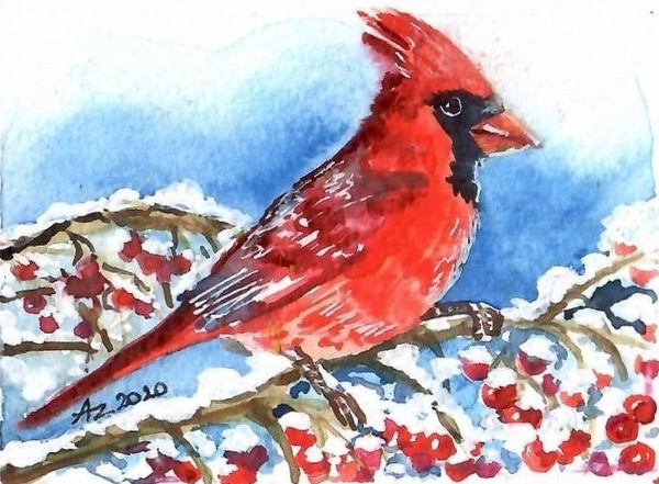 Original Watercolor Painting Spangled Cotinga Bird Art (Mini ATC ACEO