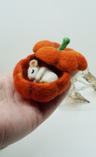 miniature-mouse-1
