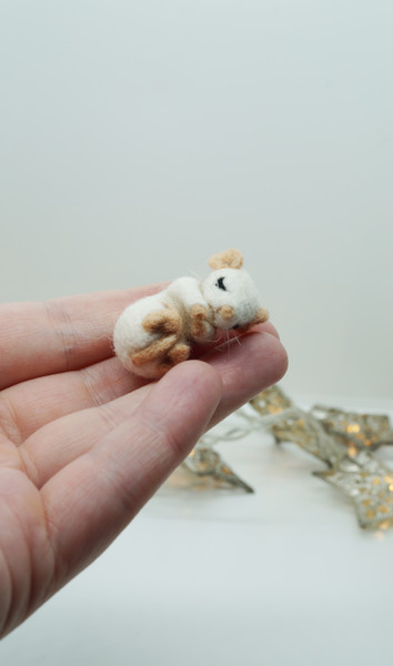 tiny-mouse