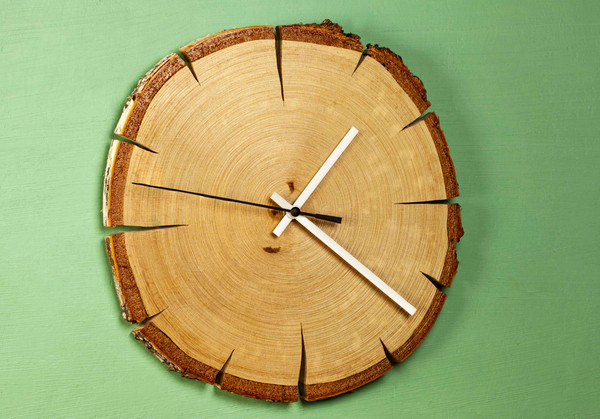 wood slice birch clock.jpg