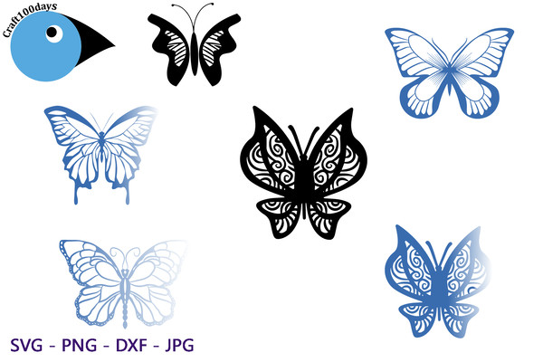 Butterfly bundle.png