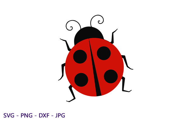 lady bug.png
