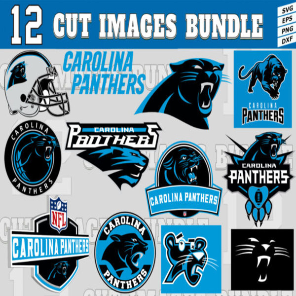 12-CIB-Carolina-Panthers-banner-3-600x450_1080x1080.jpg
