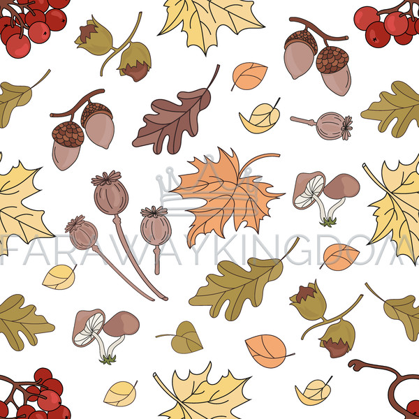 AUTUMN RAWBERRY [site]-01.jpg