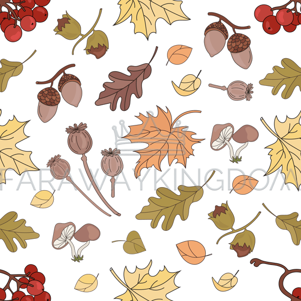 AUTUMN RAWBERRY [site].png