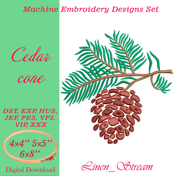 Cedar cone 1.jpg